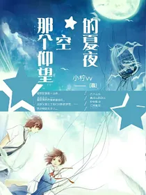 那个仰望星空的夏夜