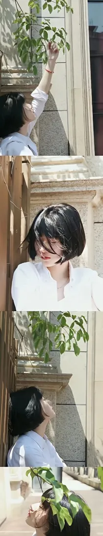 逐沙