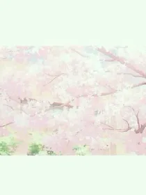 快穿之女主的位置被我取代了