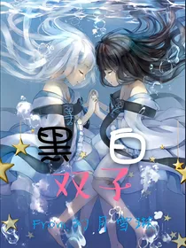 黑白双子——双生篇