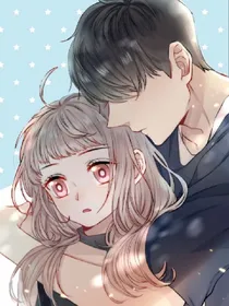 猫儿的夏天