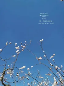 时空交替的自己！