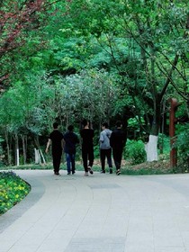 粤中杂记
