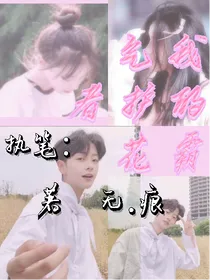 我的霸气护花者