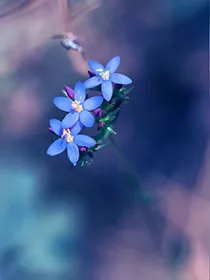 重生之画间轮回
