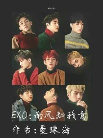 EXO:南风知我意