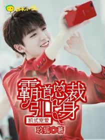 凯式宠爱,霸道总裁引上身