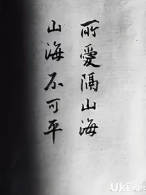 邪医毒妃之红白傲天