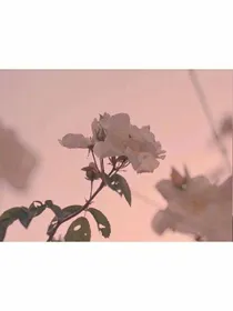 只是发图