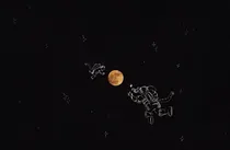 秋水揽星河