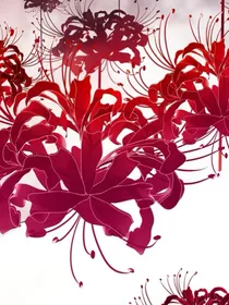万花图集
