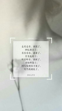 对陌小姐的一见倾心
