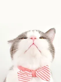 重生之妻撩夫