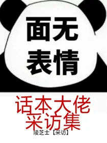 话本大佬采访集