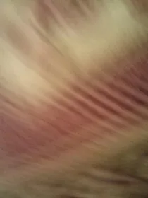 呃呃呃额额呃呃呃额额