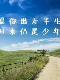 愿你走出半生归来仍是少年