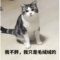 魔女与神的次元姻缘