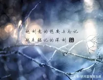 明星和运动员的爱情故事_d914