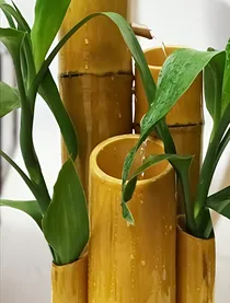 开心宝贝—小心