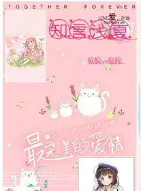 知言浅夏