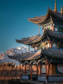 凤凰花开