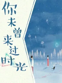 你未曾来过的时光-d303