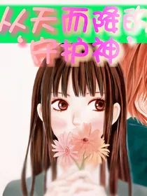 从天而降的守护神