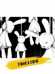 海贼王之索零
