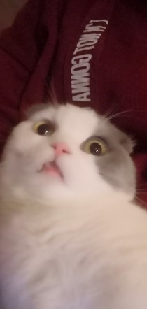 痛苦幸福生活