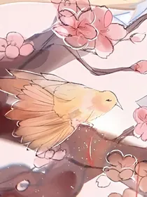 化羽涅槃经