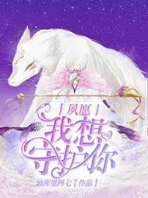 夙愿.我想守护你