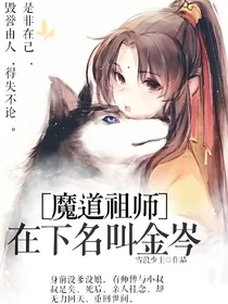 在下名叫金岑——d357