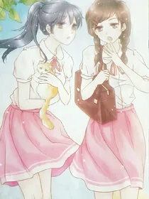 带走猫和少年的那个夏天