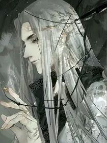 宦官公主:一品大将军
