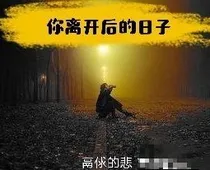 你离开后的日子。