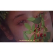 深度梦境（快穿女配又哭了）