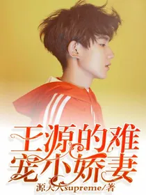 王源的难宠小娇妻
