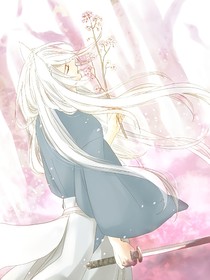 闪婚妻子是杀手