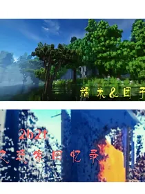 2B2T之玩家回忆录（弃坑）