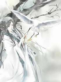 仙羽之境