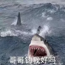 哥哥钓我好吗？