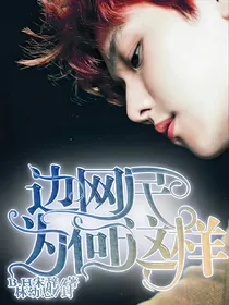 边网民为何这样