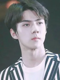 EXO……糖心愿情
