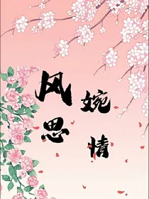 风婉思情