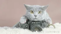 吸血鬼传说1