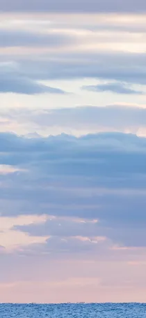 明月等待星辰