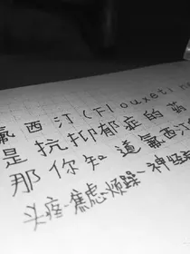 作者的回归