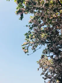 武林外传:短篇合集