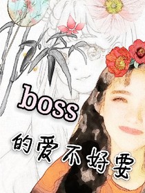 Boss的爱不好要