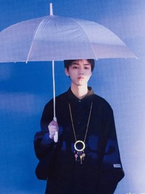陌上花开,吾既归乎